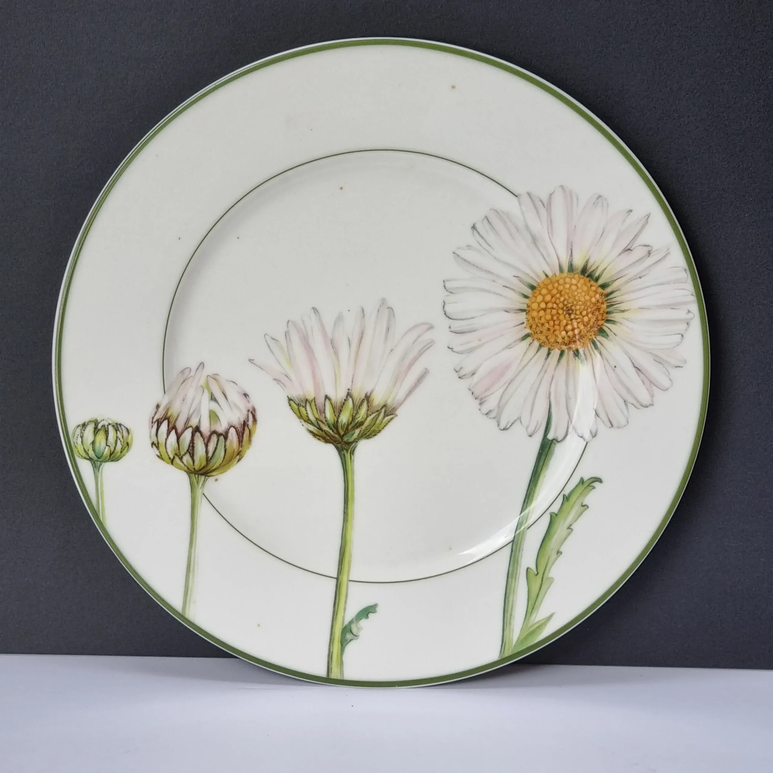 6 Bajoplatos Villeroy & Boch Flora Margarita