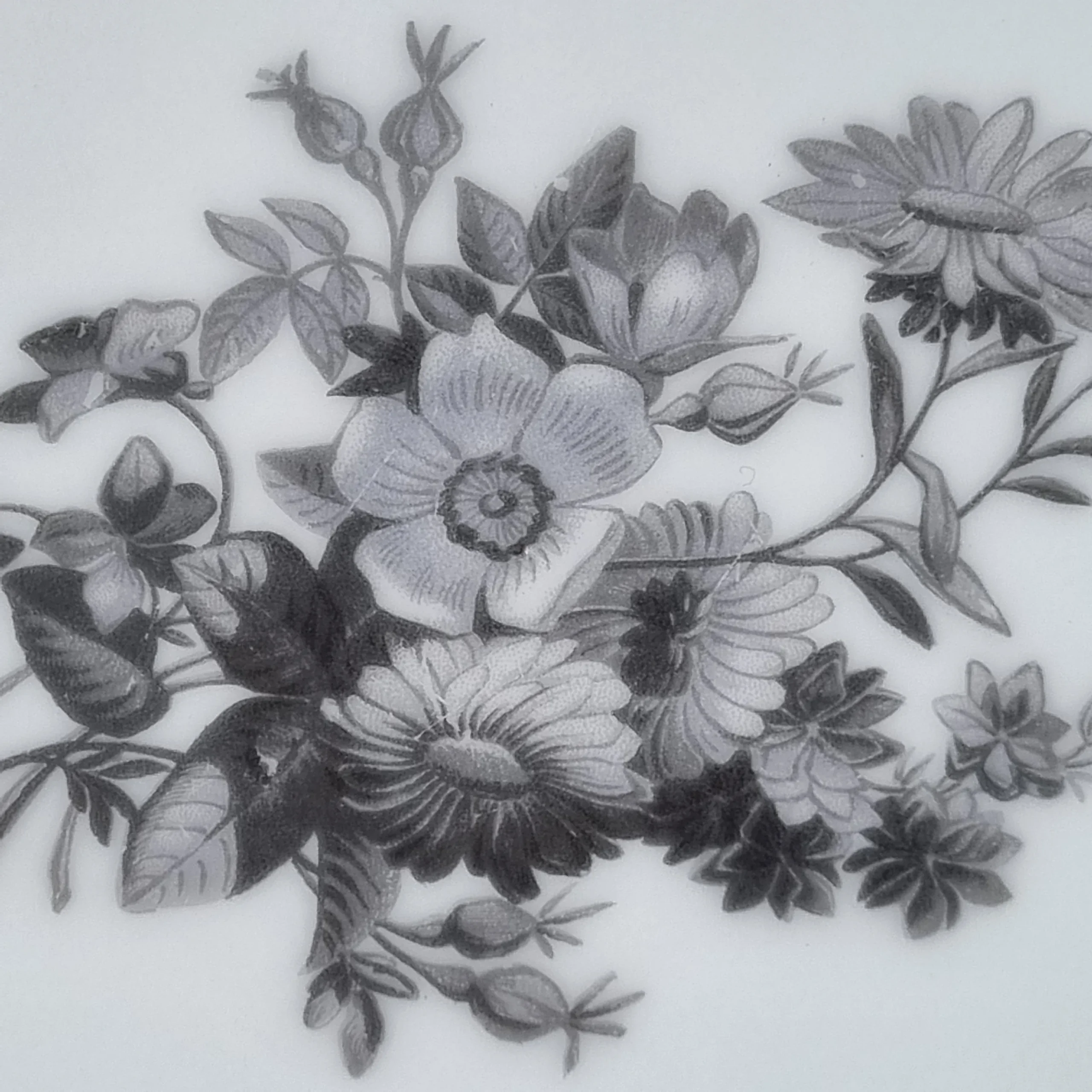 Juego de 6 platos de porcelana siglo XIX - Imagen 3