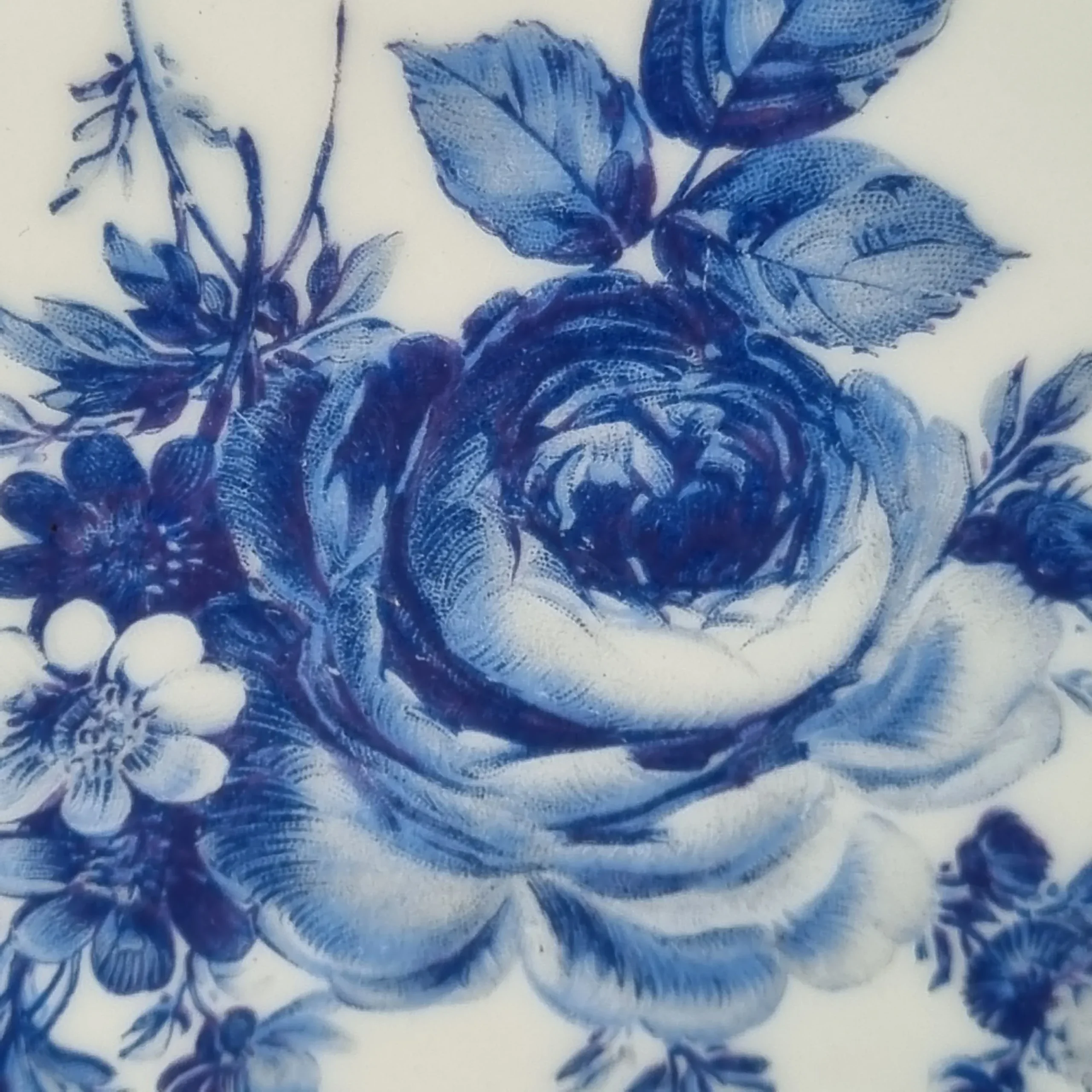 12 platos hondos de Limoges con flores azules - Imagen 4