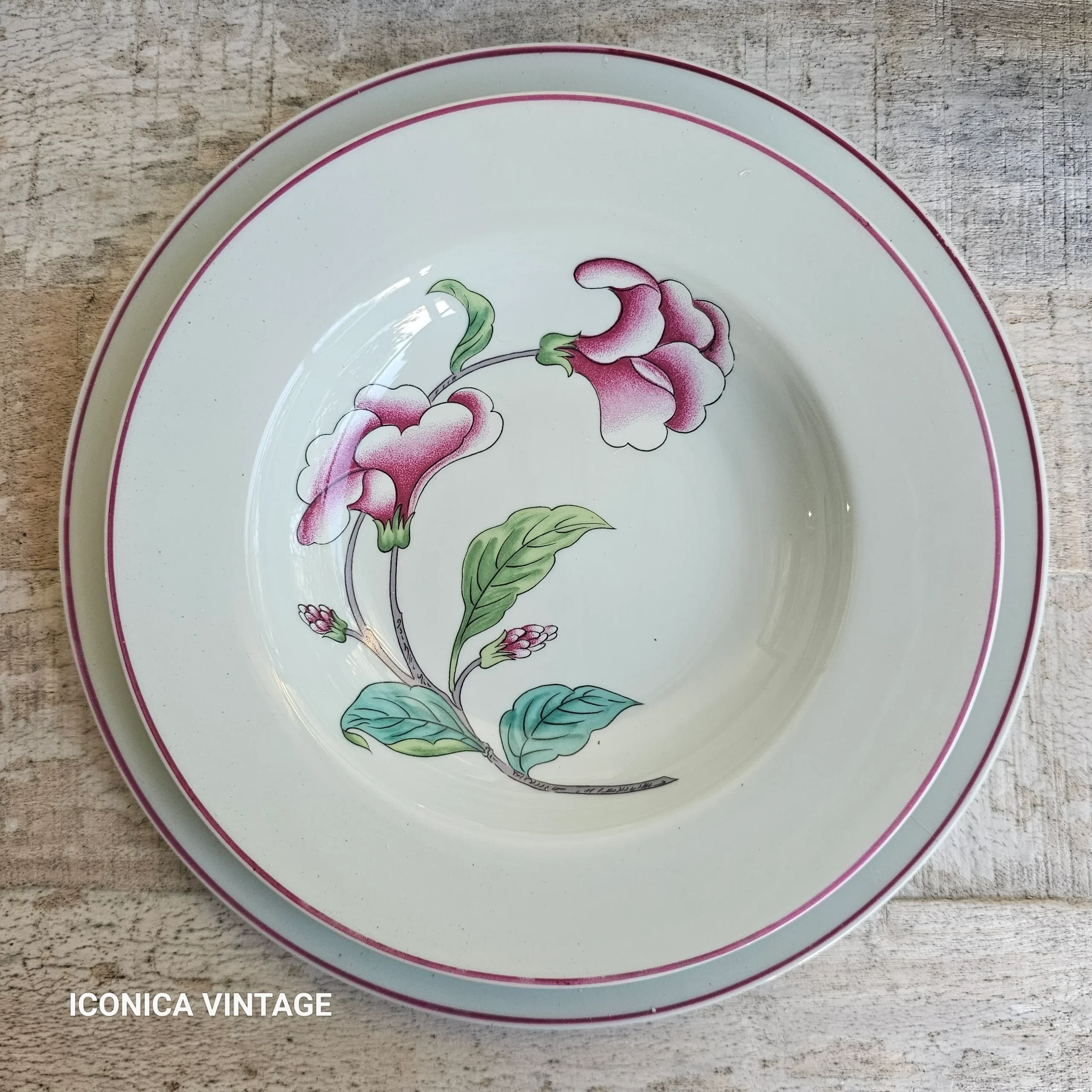 Vajilla Porcelana de Paris, para hasta 10 comensales