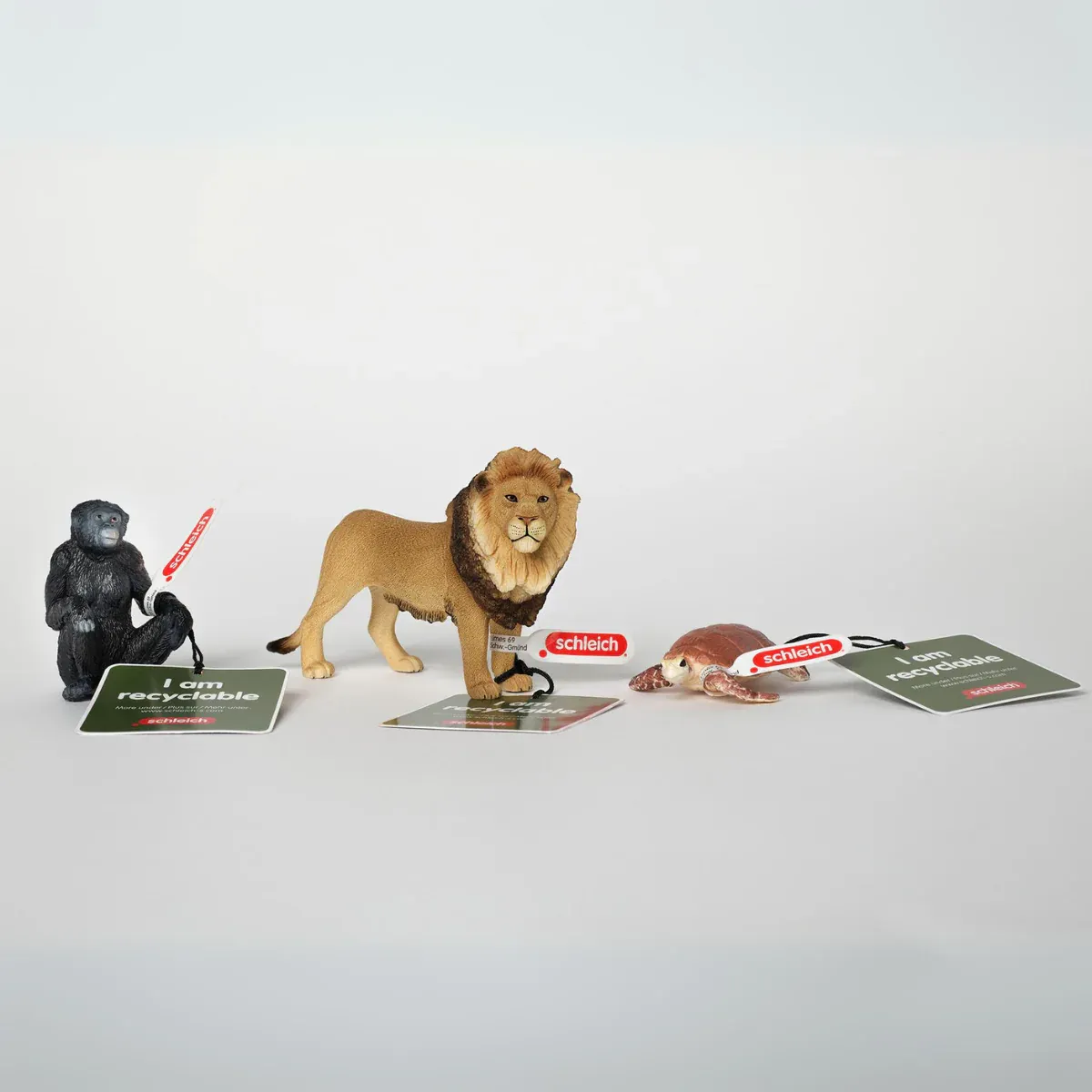 Bonobo hembra (circular) - Imagen 5