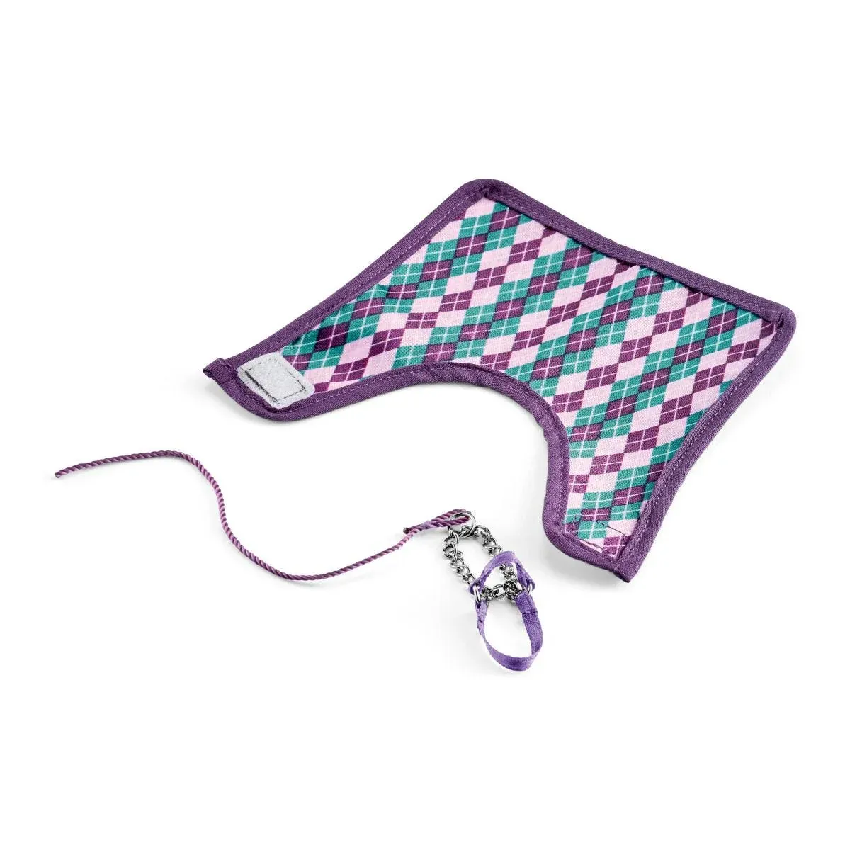 Purasangre inglés con manta - Imagen 3