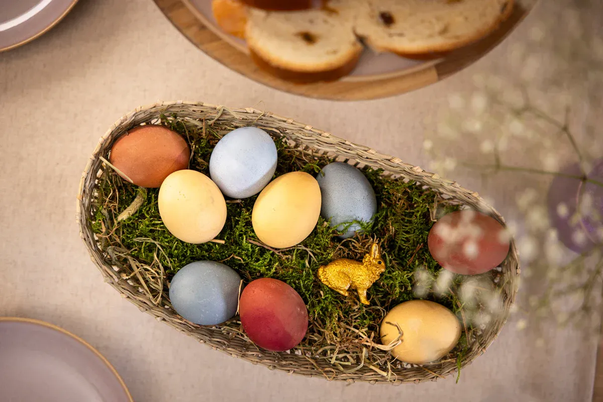 Conejo dorado - Imagen 3