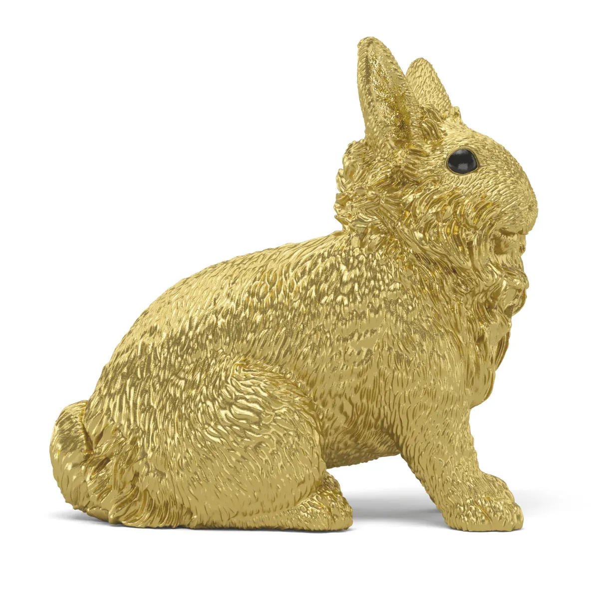 Conejo dorado - Imagen 6