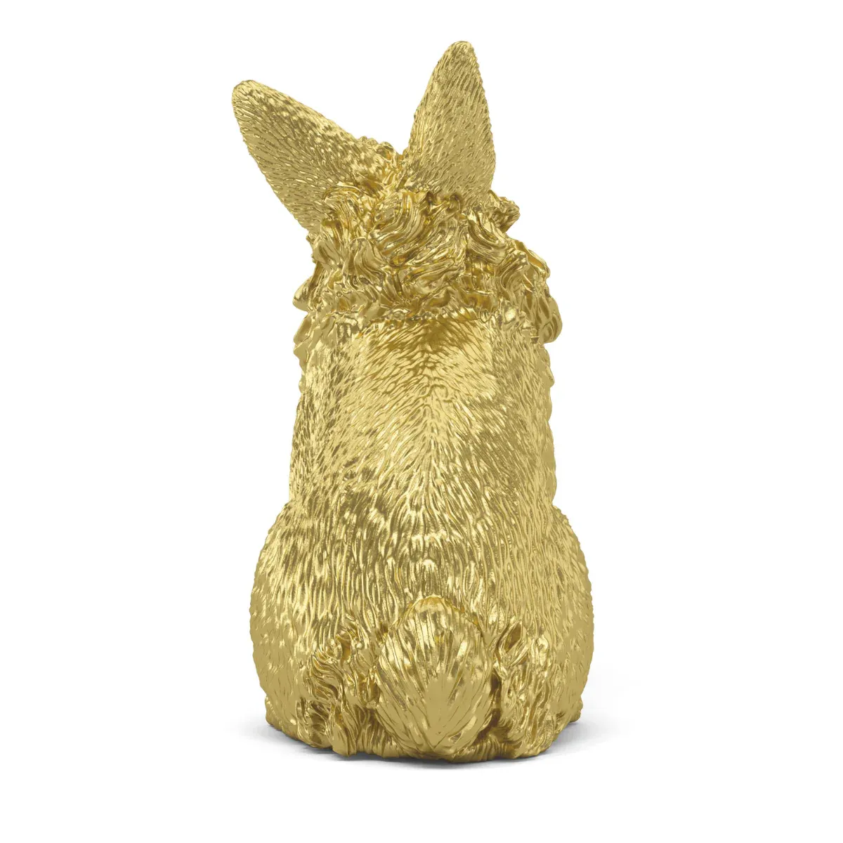 Conejo dorado - Imagen 7