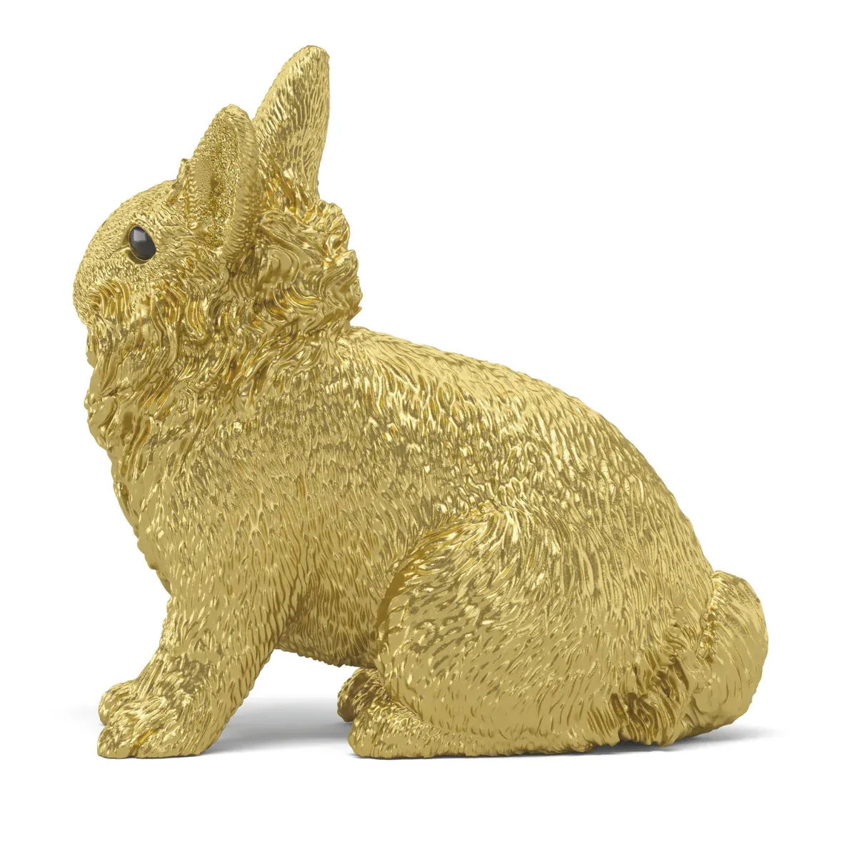 Conejo dorado - Imagen 8