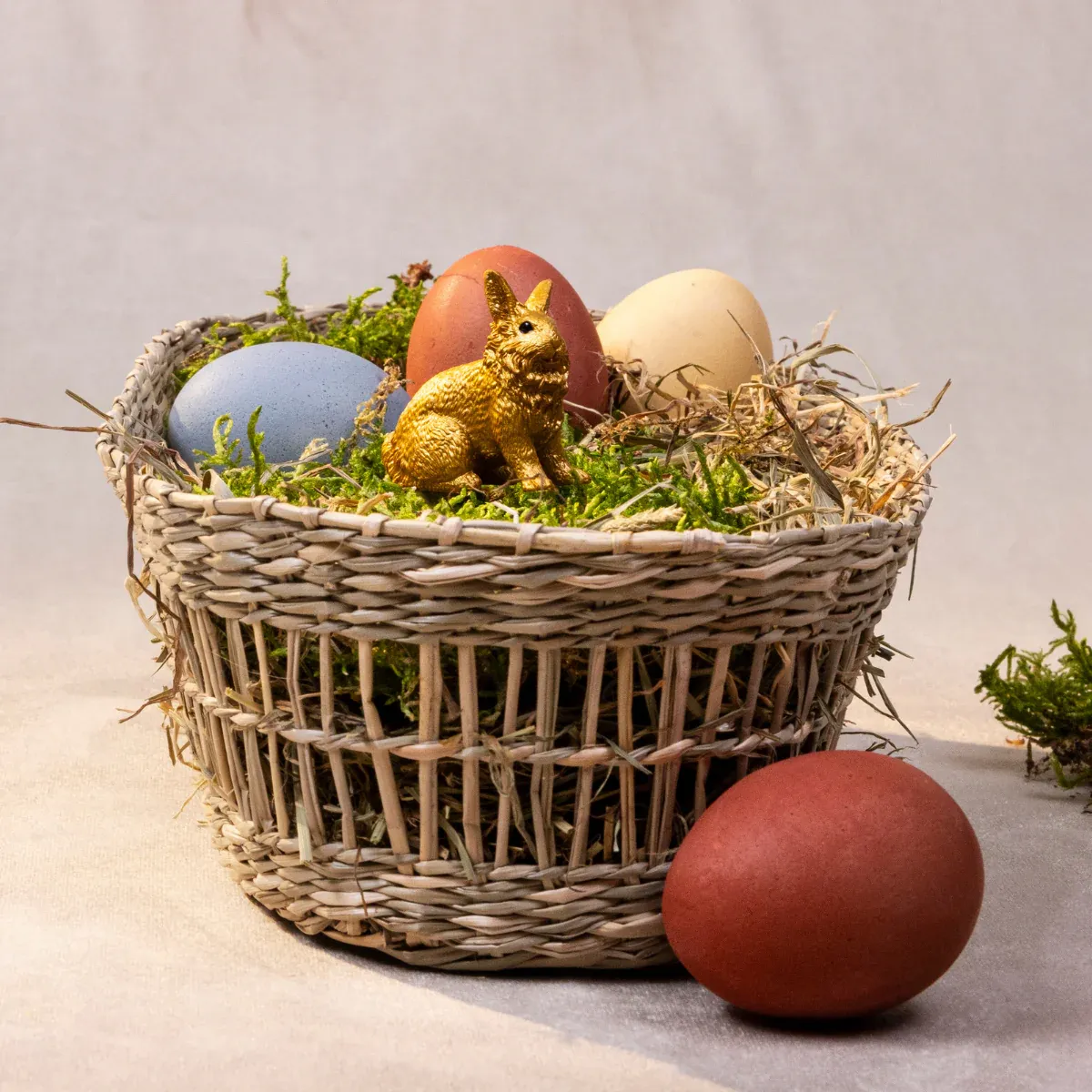 Conejo dorado - Imagen 2