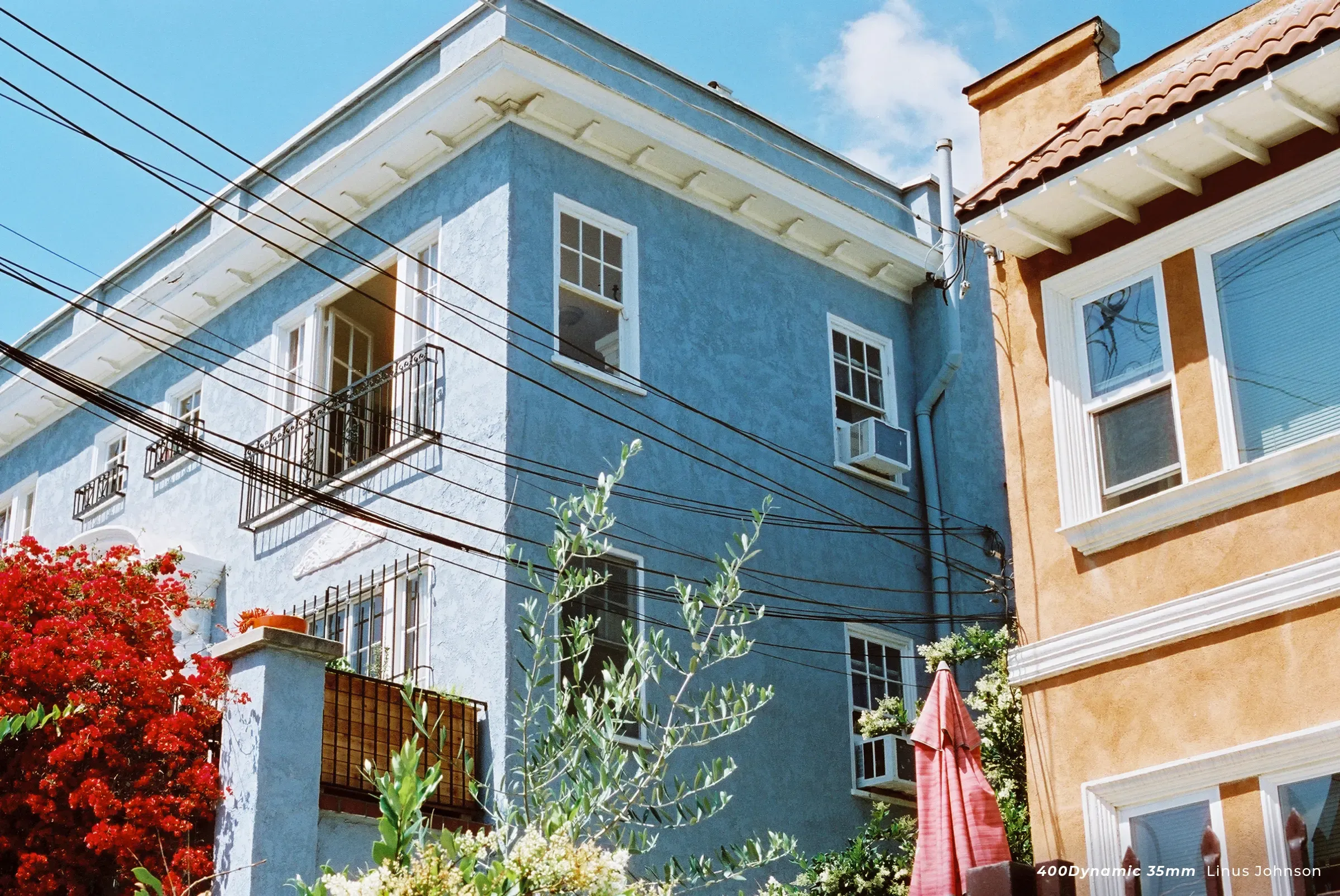 CineStill 400D 120 (C-41) - Imagen 2