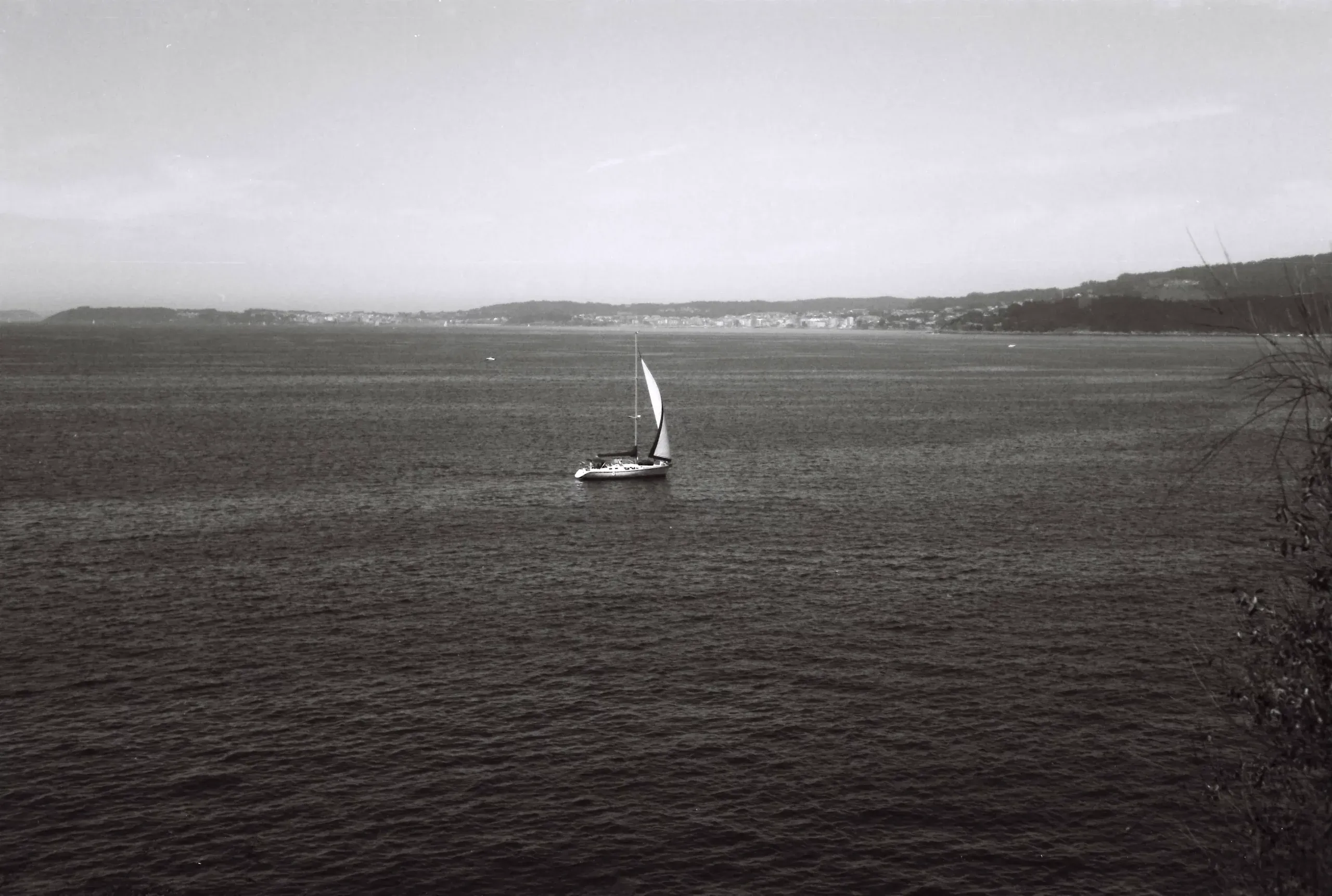 Docemásuno película negativa B&W 13 ISO – 36 exp. - Imagen 3