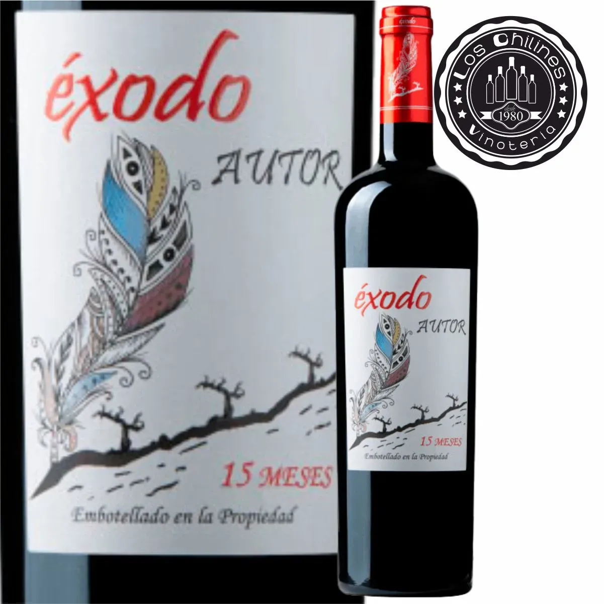 ÉXODO AUTOR 15 MESES