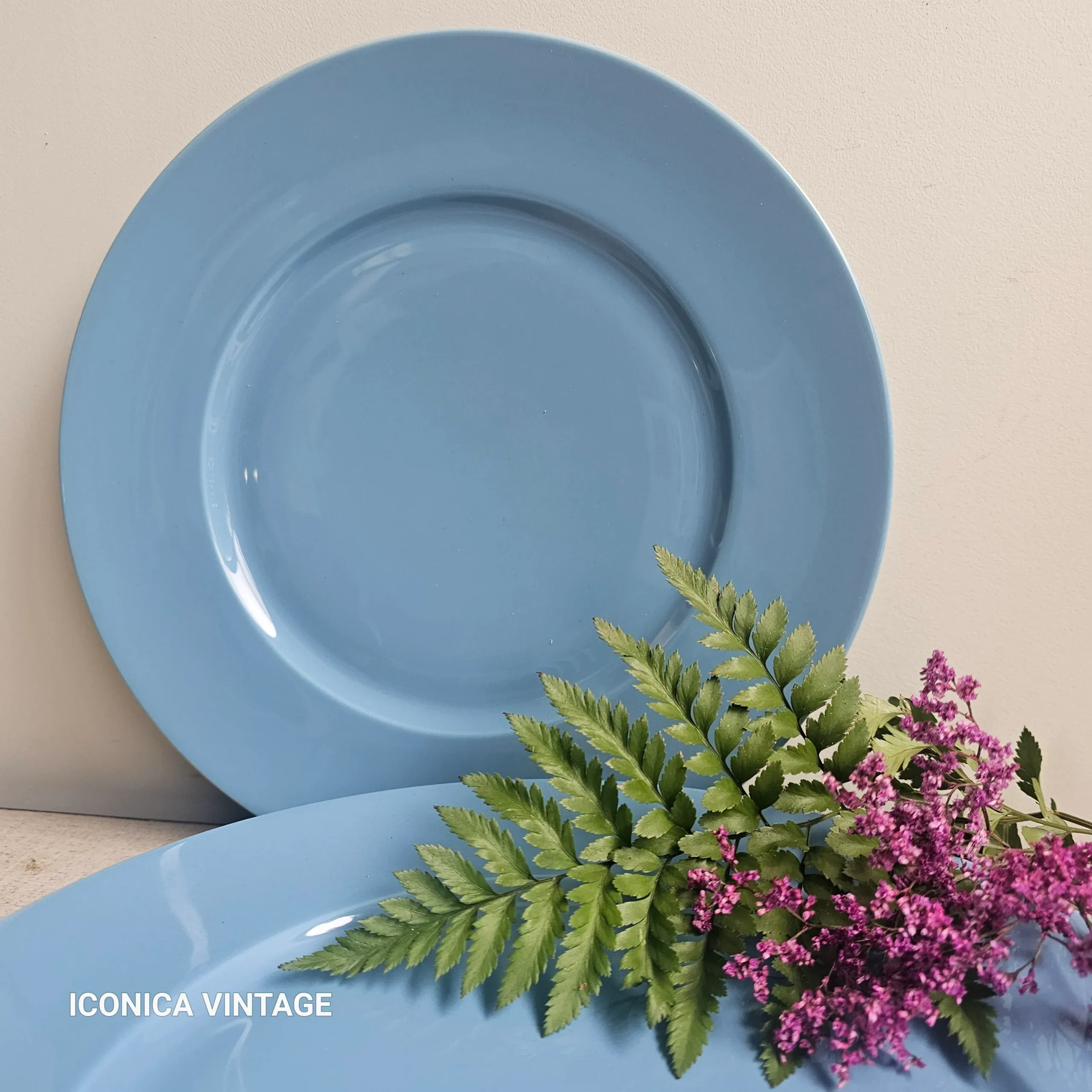 12 Bajoplatos azul Francia